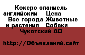 Кокерс спаниель английский  › Цена ­ 4 500 - Все города Животные и растения » Собаки   . Чукотский АО